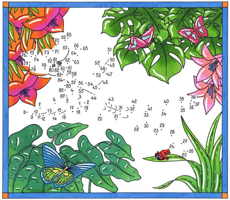 Ausmalbild 200+ tolle Ausmalbilder Malen nach Zahlen: Kolibri und Schmetterlinge kostenlos ausdrucken